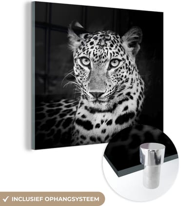MuchoWow® Glasschilderij 50x50 cm - Schilderij acrylglas - Panter - Zwart - Wit - Foto op glas - Schilderijen