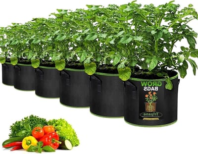 6 Stuks Groentetassen, 5 Gallon Ademend Vezeldoek, Ideaal voor Tuinieren, Groenten, Bloemen en Aardappelen