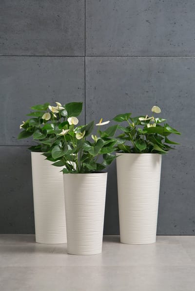 Lamela Lilia Pot met Inzetstuk Zwart Ø25x47cm - Modern Design