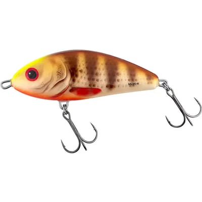 Salmo Fatso Sinking F10S Spotted Brown Perch