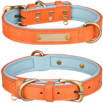 1 stuk Hondenhalsband, verkrijgbaar in verschillende maten en kleuren, echt, stevig, comfortabel, zachte binnenvoering met contrasterend kleurdesign, Oranje,XS