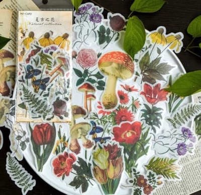 Deco stickers Natural Collection - 60 stuks - Planten en Paddenstoelen sticker - Planten - Bloemen - Paddenstoelen - Bulletjournal - Stickers Voor Volwassenen - Scrapbooking - Agenda Stickers - Decoratie Sticker
