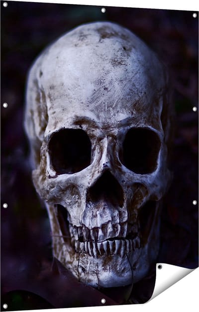 Gards Tuinposter Schedel - Doodshoofd - 90x120 cm - Tuindoek - Tuindecoratie - Wanddecoratie buiten - Tuinschilderij