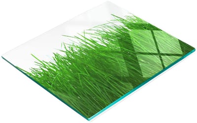 Decoratieve glazen serveerplank met afbeelding van gras voor het serveren van snacks, 60x52 cm