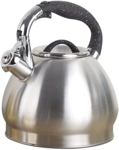 Waterkoker Fluitketel - Heetwaterketel Keuken Theepot - Kamperen Koken Reizen - Snelle Waterkoker Roestvrij Staal - 3.5 Liter Capaciteit - Zilverkleurig