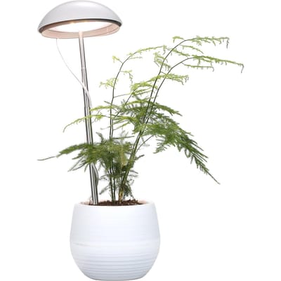 Neoglint LED lampe de culture de plantes en pot plante à spectre complet grandir lumière de remplissage hauteur réglable blanc
