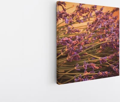 Saammp Canvas Schilderij - Lavendel - Bloemen - 20x20 - Foto op canvas - Wanddecoratie - Muurdecoratie Woonkamer - Kantoor Decoratie