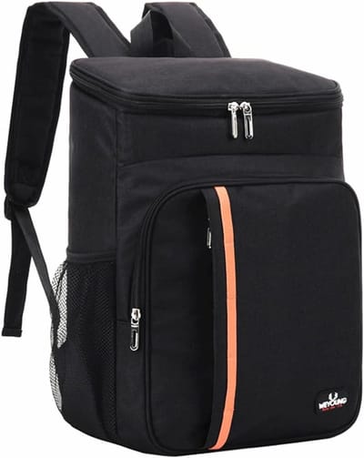 Geïsoleerde lunchrugzak 18L - Waterdichte picknick tas voor dames en heren - Ideaal voor reizen, vissen, wandelen, strand, school en camping