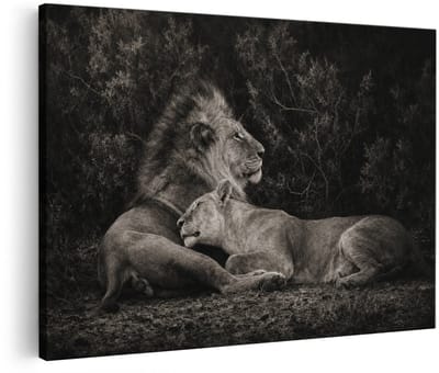 Artaza Canvas Schilderij Leeuw en Leeuwin - Zwart Wit Natuur - 30x20 cm - Klein - Wanddecoratie Woonkamer - Schilderijen - Muurdecoratie