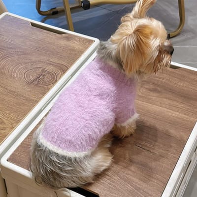 Pull en Peluche pour Animaux de Compagnie Couleur Unie Vêtements pour Petit Chien d'Automne Hiver Couche de Base pour Chien Vêtements pour Chiot Vêtements pour Chien pour Petits Chiens XS