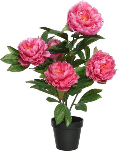 Roze Paeonia/pioenroos - rozenstruik - kunstplant - 57 cm in zwarte plastic pot - Kunstplanten/nepplanten - Pioenrozen
