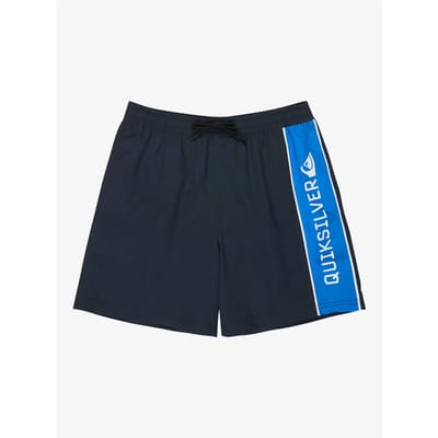 Quiksilver Everyday Clicker Volley 17´´ Zwembroek Blauw M Man