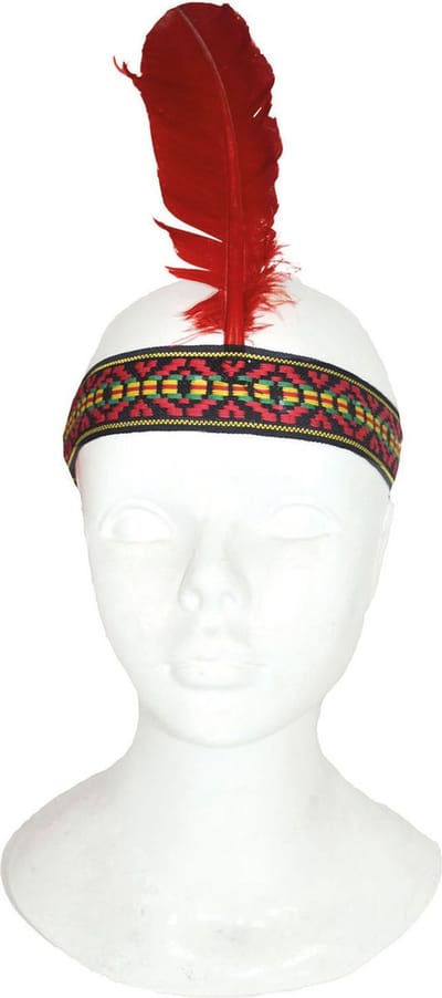 Indianen verkleed veren hoofdband - voor volwassenen - Met klitteband - carnaval - indiaan