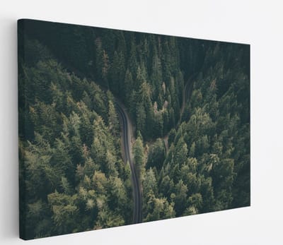 Saammp Canvas Schilderij - Weg tussen de bomen door - Natuur - 45x30 - Foto op canvas - Wanddecoratie - Muurdecoratie Woonkamer - Slaapkamer decoratie - Canvas Print
