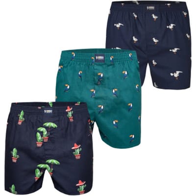 Happy Shorts X Heren Wijde Boxershort Met Binnenbroek Cactus/Tucan Groen/Zeemeeuw Print 3-Pack - Maat S