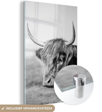 MuchoWow® Glasschilderij 120x180 cm - Schilderij acrylglas - Schotse Hooglander - Dieren - Zwart - Wit - Foto op glas - Schilderijen