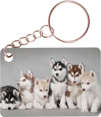 Sleutelhanger 6x4cm - Husky Pups op Rij