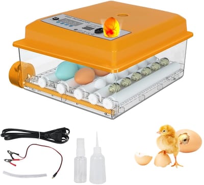 Broedmachine volautomatisch voor eieren Dailygoods