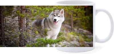 Beker - Husky in Bos