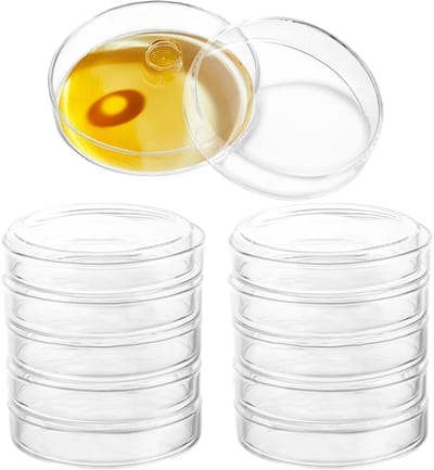 Glazen Petri Schalen met Deksel, 90 x 20 mm, Borosilicaatglas, Steriel voor Laboratoria, Bacteriecultuur en Gisten, Onderwijsgebruik