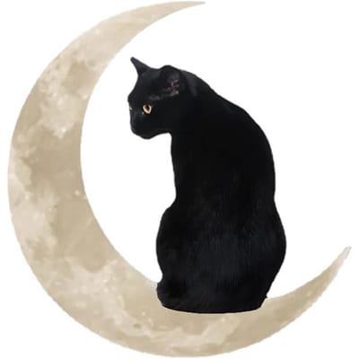 Metaal Zwarte Kat Maan Hangbord Kat Op De Maan Wandhanger Hanger Huis Binnen Decoratie Cadeaus beige