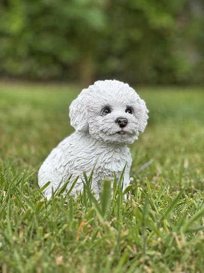 Puppy zittend Bichon Frisé roze neusje 15 cm hoog - hond - polyester - polystone - beeld - tuinbeeld - hoogkwalitatieve kunststof - decoratiefiguur - interieur - accessoire - voor buiten - cadeau - geschenk - kerst - nieuwjaar