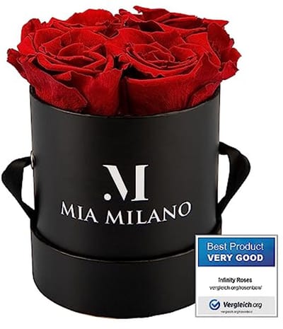 Mia Milano Infitnity Rozen in Doos I Zwarte Roosendoos met echte geconserveerde bloemen I Cadeau voor vrouwen I Bloemendoos 3 jaar duurzaam (Vier Rozen - Rood)