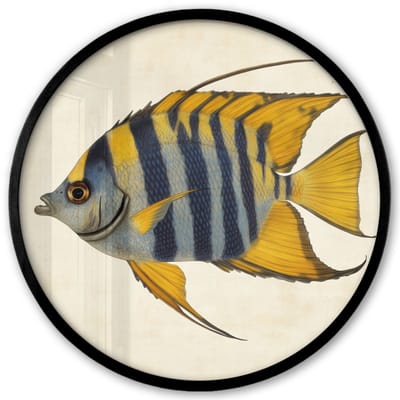 Poster in lijst Rond - Fotolijst 40x40 cm - Posters - Vis - Sierlijk - Vinnen - Illustratie - Ronde posterlijst zwart - Decoratie - Wanddecoratie woonkamer - Muurdecoratie slaapkamer