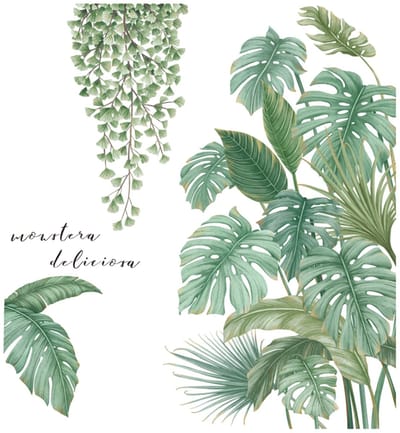 Allecto - Muurstickers - Groene Bladeren - Wanddecoratie voor Thuis - Monstera Deliciosa - Origineel en Modern - Ideaal voor Kinderen - Groen