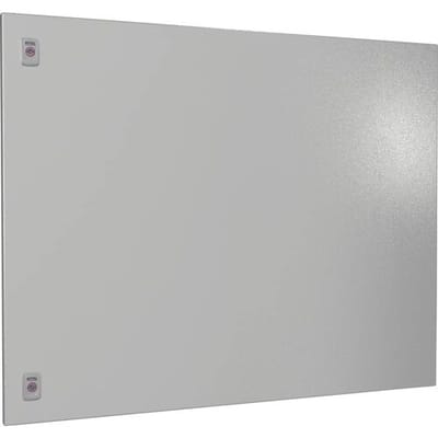 Rittal SV 9682.108 Deeldeur Staal Grijs (b x h) 1000 mm x 800 mm 1 stuk(s)
