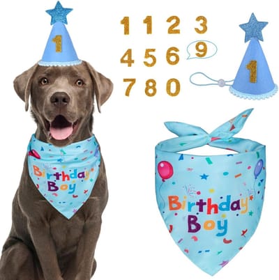 Hond Verjaardag Set Blauw - Verjaardag Bandana en Feesthoed met Cijfers - Dog Birthday Party Supplies voor Grote Honden