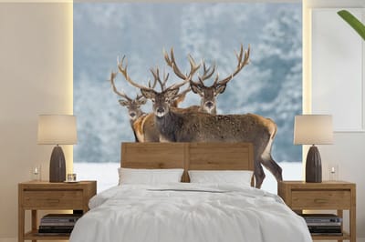 Behang - Fotobehang Hert - Dieren - Sneeuw - Winter - Landschap - Natuur - Breedte 300 cm x hoogte 300 cm