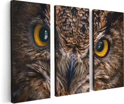 Artaza Canvas Schilderij Drieluik Uilenkop Met Gele Ogen - Uil - 120x80 - Foto Op Canvas - Canvas Print