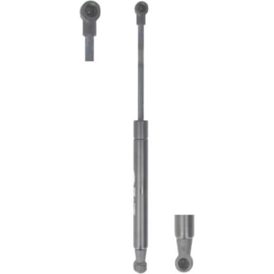 Gasveer, motorkap MAGNETI MARELLI 430719066900