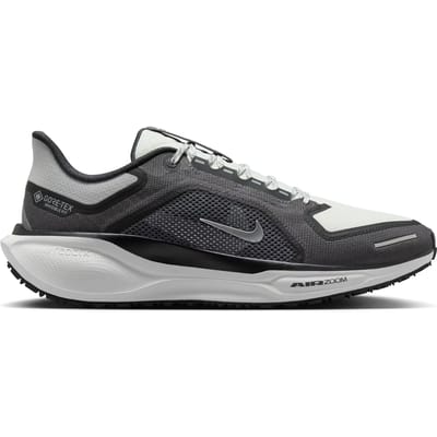 Hardloopschoenen Nike Pegasus 41 GORE-TEX