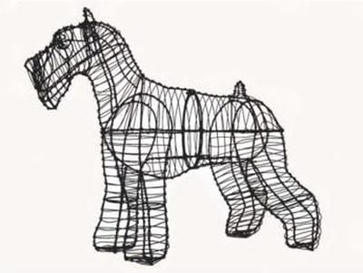 Hond Schnauzer - Frame