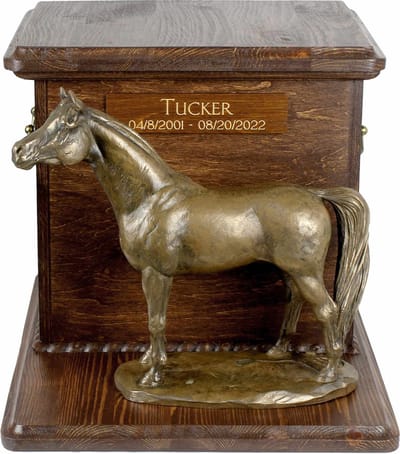 Persoonlijke urn voor paardenas met beeldje en gravure, voor Australian Stock Horse
