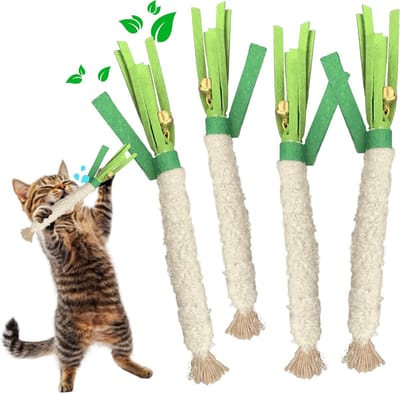 Daity Kattenkruid kauwsticks - 4 stuks met katoenen touw - Natuurlijk speelgoed voor de gebitsverzorging van katten voor schone tanden en gezond tandvlees - voldoet aan het kauwinstinct - kittenspeelgoed (wit)