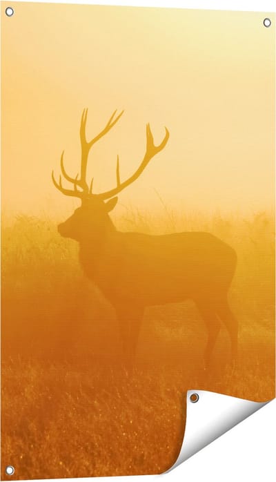 Gards Tuinposter Hert tijdens de Mist - 60x90 cm - Tuindoek - Tuindecoratie - Wanddecoratie buiten - Tuinschilderij