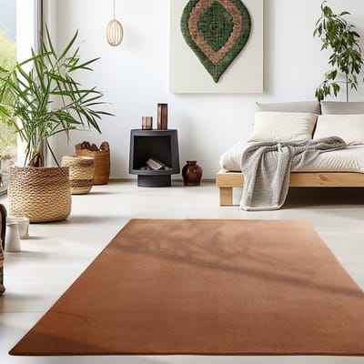 Binnenkleed, bruin van kleur, voor de woonkamer, comfortabel, natuurlijke uitstraling, geschikt voor dagelijks gebruik, wasbaar. 120x170 cm
