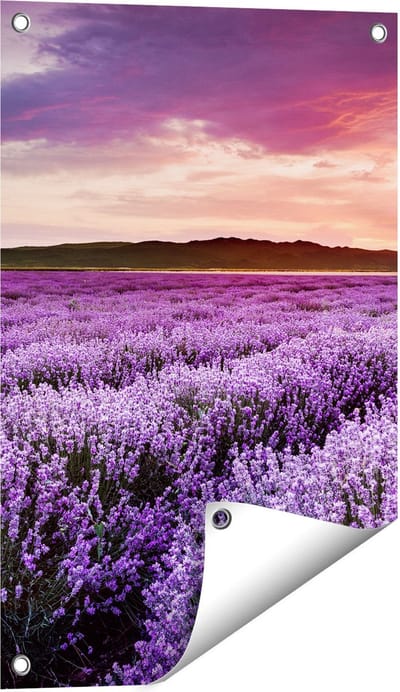 Gards Tuinposter Bloemenveld met Paarse Lavendel - Bloemen - 40x60 cm - Tuindoek - Tuindecoratie - Wanddecoratie buiten - Tuinschilderij