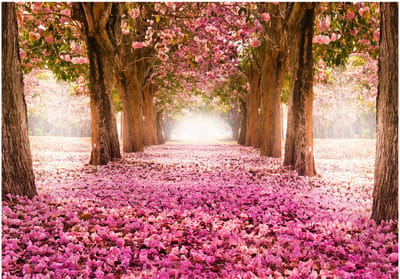 Fotobehangkoning - Behang - Vliesbehang - Fotobehang - Pink grove - 3D Tunnel van Bloemen - 400 x 280 cm