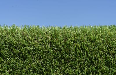 Kunstgras 4 x 19 meter - 20mm ✅ Nederlandse Productie - Uitgeroepen zachtste Grastapijt ✅ Waterdoorlatend | Tuin | Kind | Dier