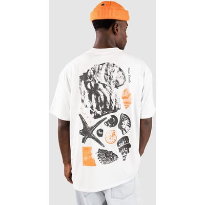 Nike ACG ACG Oc Fossils T-Shirt wit