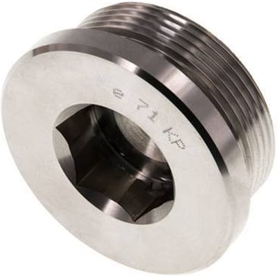 Plug M48 X 2 RVS FKM met binnenzeskant 250 bar (3512.5psi)