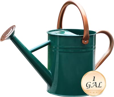 Metalen gieter 4 liter voor binnen en buiten planten met lange tuit
