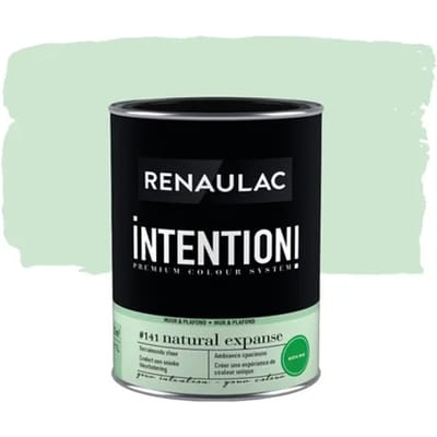 Renaulac Intention Muurverf - Extra Mat - Natural Expanse - 1l