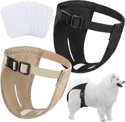 Hernieuwbare en Wasbare Hondenbroekjes voor Vrouwelijke Honden - 2 Stuks met Verstelbare Taille en Bescherming tegen Ongeschiktheid (XXL)