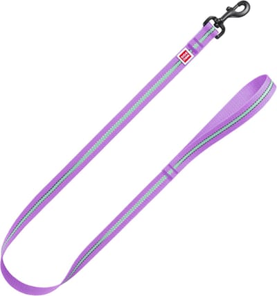 WAUDOG Glow In The Dark Hondenlijn / Hondenriem - Nylon - Paars - Reflecterend - Breedte: 2,5 cm - Lengte: 122 cm - Geschikt voor grote honden