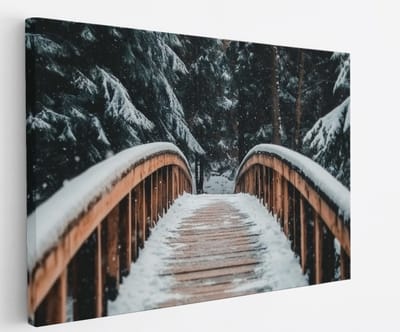 Saammp Canvas Schilderij - Natuur - Winter - Pad van bladeren - landschappen - 45x30 - Foto op canvas - Wanddecoratie - Muurdecoratie Woonkamer - Slaapkamer decoratie - Canvas Print